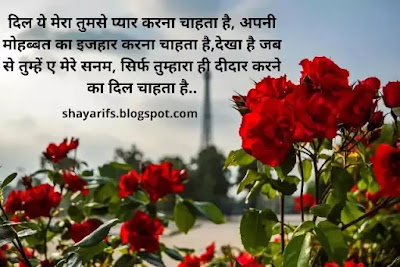 Valentine Day Shayari