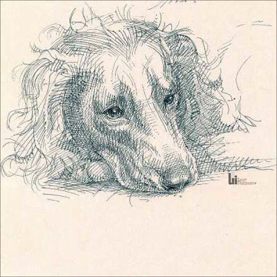 dog drawing by Igor Lukyanov (cross-hatching)