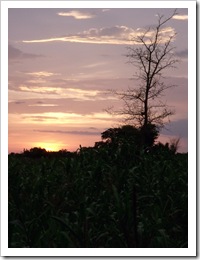 DSCF5065