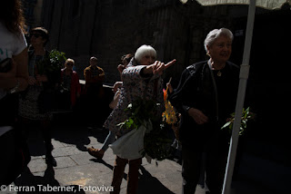 Ferran Taberner i Raset, Fotoviva