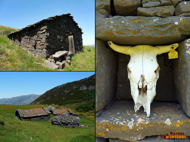 Las Navariegas. Cabañas y corros