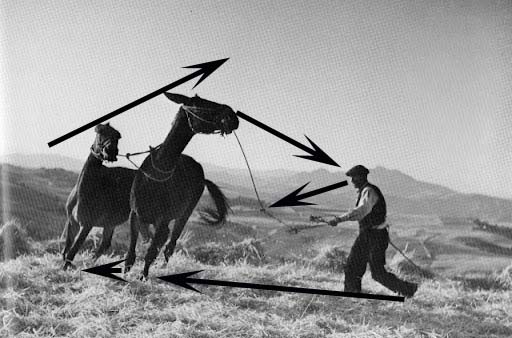 The Art of Photography. OCA.: Exercise 21. Implied Lines in ...