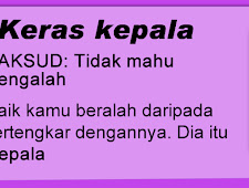 apa itu simpulan bahasa