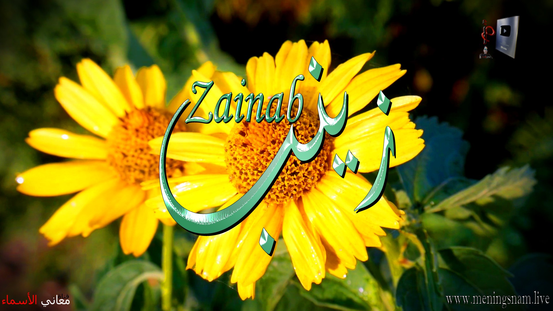 معنى اسم, زينب, وصفات, حاملة, هذا الاسم, Zainab,