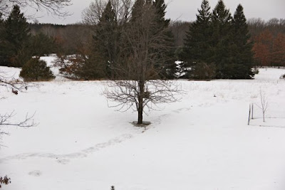 mid-March 2014 snow cover