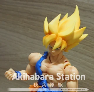 SUPER SAIYAN SON GOKU WARRIOR AWAKENING