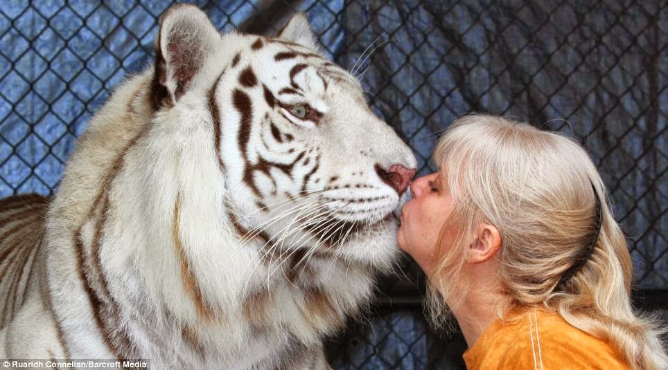 Janice Haley, Janice Haley And Her Tigers, Samber, Janda