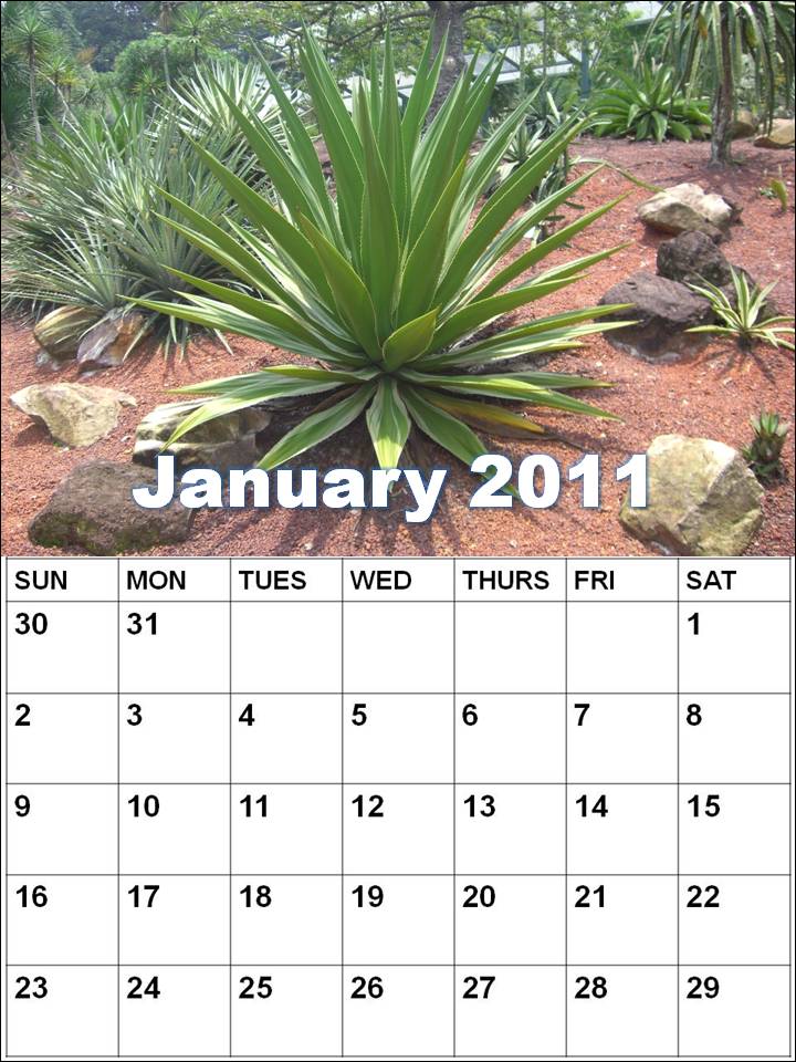 2011 calendar with holidays printable. 2011 calendar with holidays