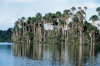 imagen de puerto maldonado