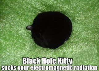 Black hole kitty