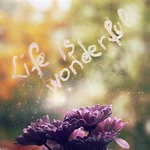 life is wonderful and you are worth it quote