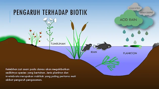 dampak negatif yang dihasilkan oleh hujan asam