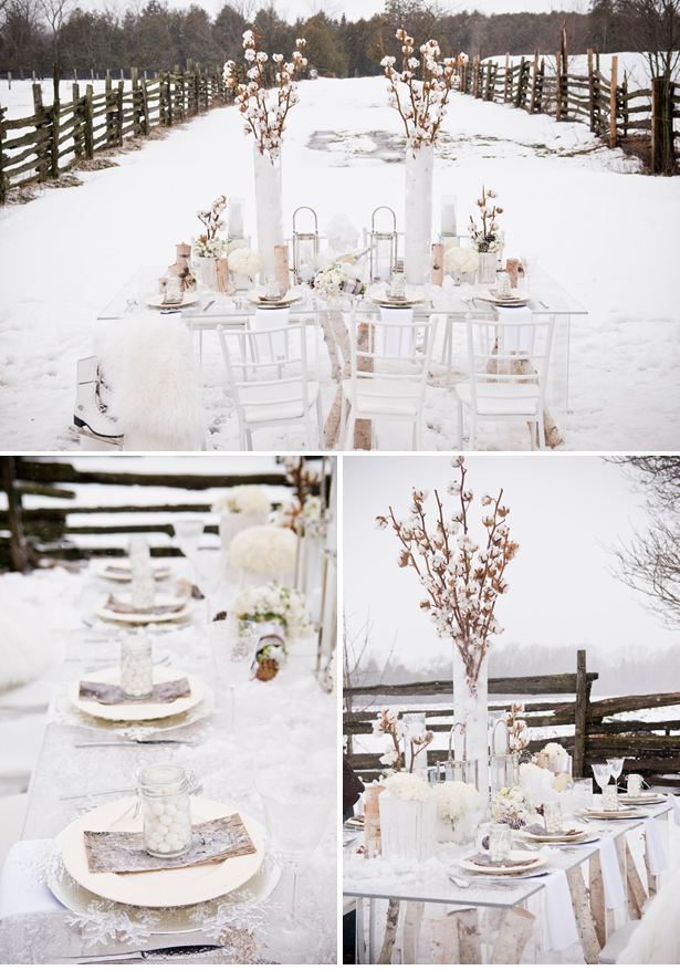 The birch is adding the rustic feeling to the theme and the cotton flowers