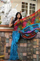 Charming Saree Collection For Parties