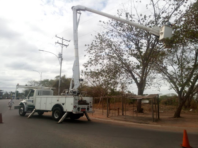 APURE: Despejan 3 kilómetros de vegetación en circuitos en municipios San Fernando y Pedro Camejo.