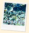 PICT0046