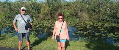 Everglades, Bobcat Boardwalk Trailhead.