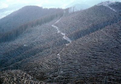 naturalE Kumpulan Foto Bencana Alam, Indah Namun Mengerikan!