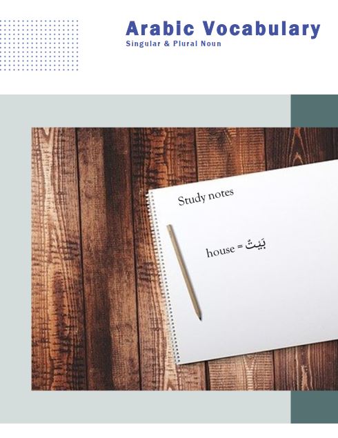 pdf book cover - singular plural words in arabic