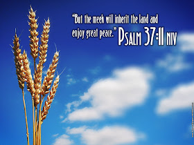 Christian Wallpapers Free Psalm 37:11