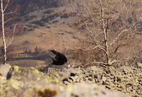 visiting Ullswater walking Glenridding to Helvellyn