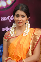 Gorgeous, Shriya, @, Pavithra, Movie, Launch