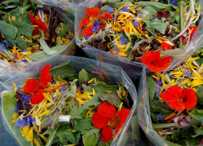 Photo of mesclun mix