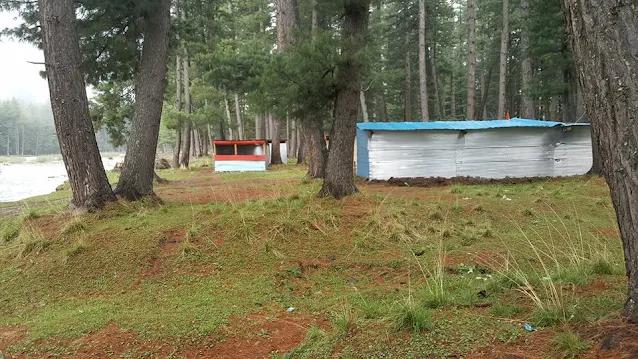 Jungle in Hotel Kumrat Valley