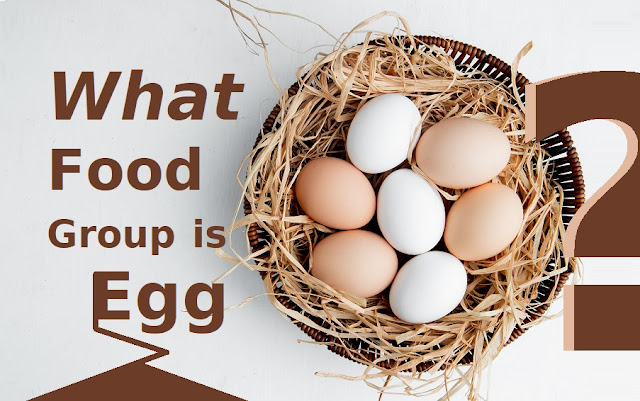 What-Food-Group-is-Egg