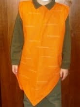 vestito da carota per carnevale