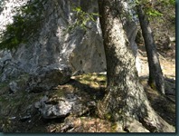 DSCN7641