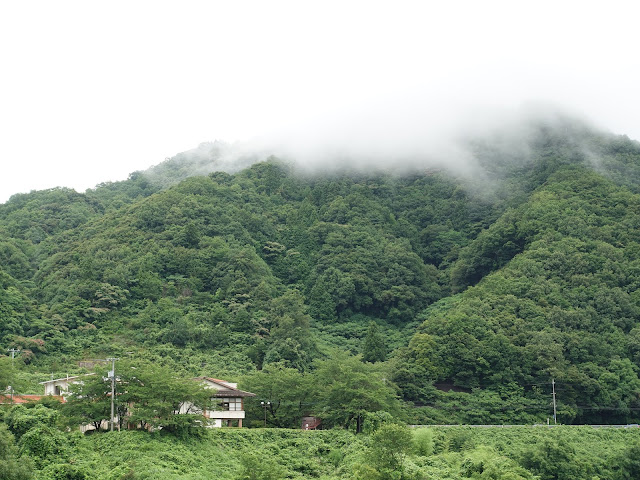 鳥取県西伯郡南部町下中谷　上長田大橋からの眺望