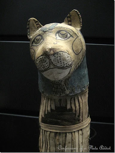 cat mummy