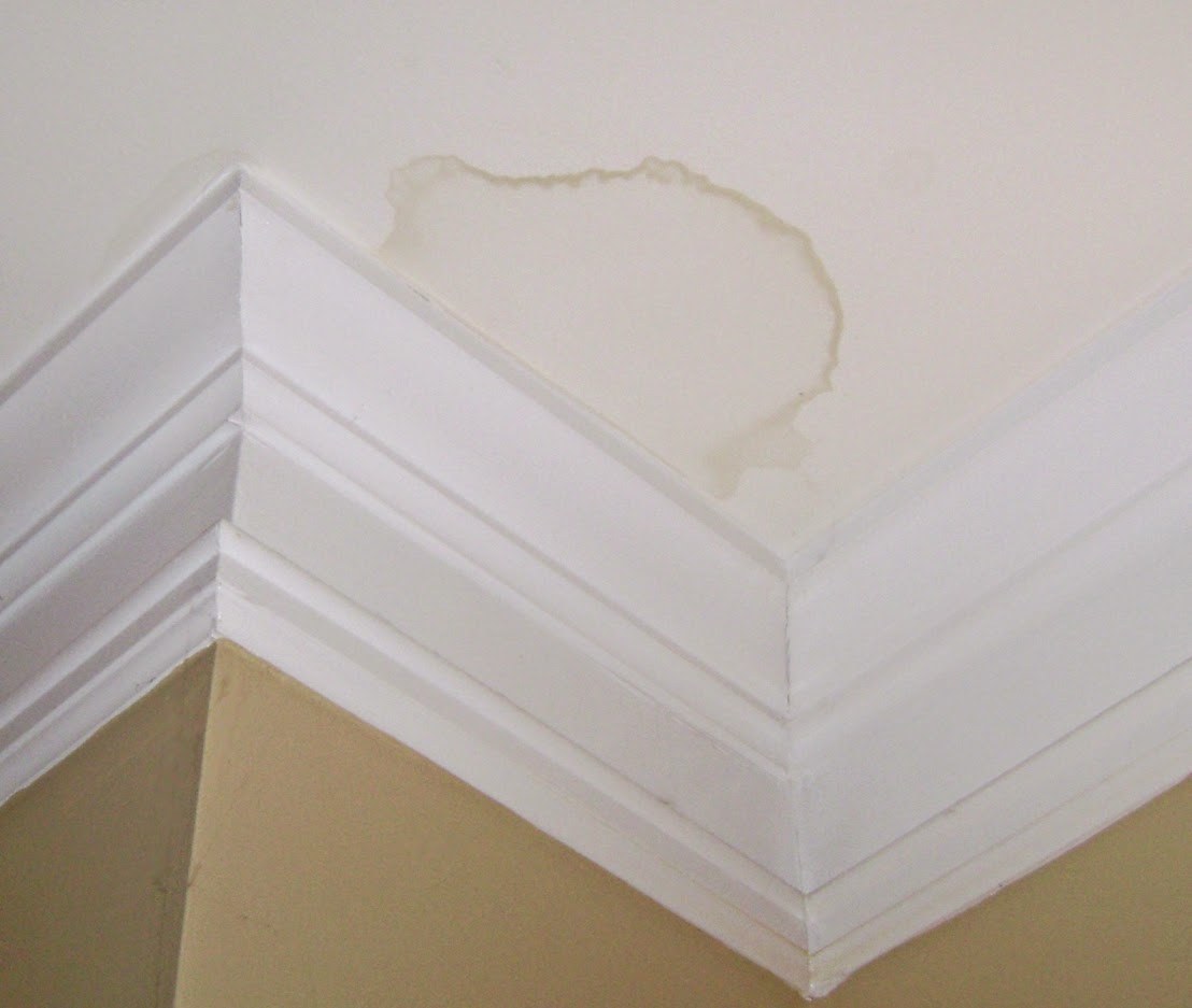 How To Treat Mildew Damage | Home And Decoration Tips