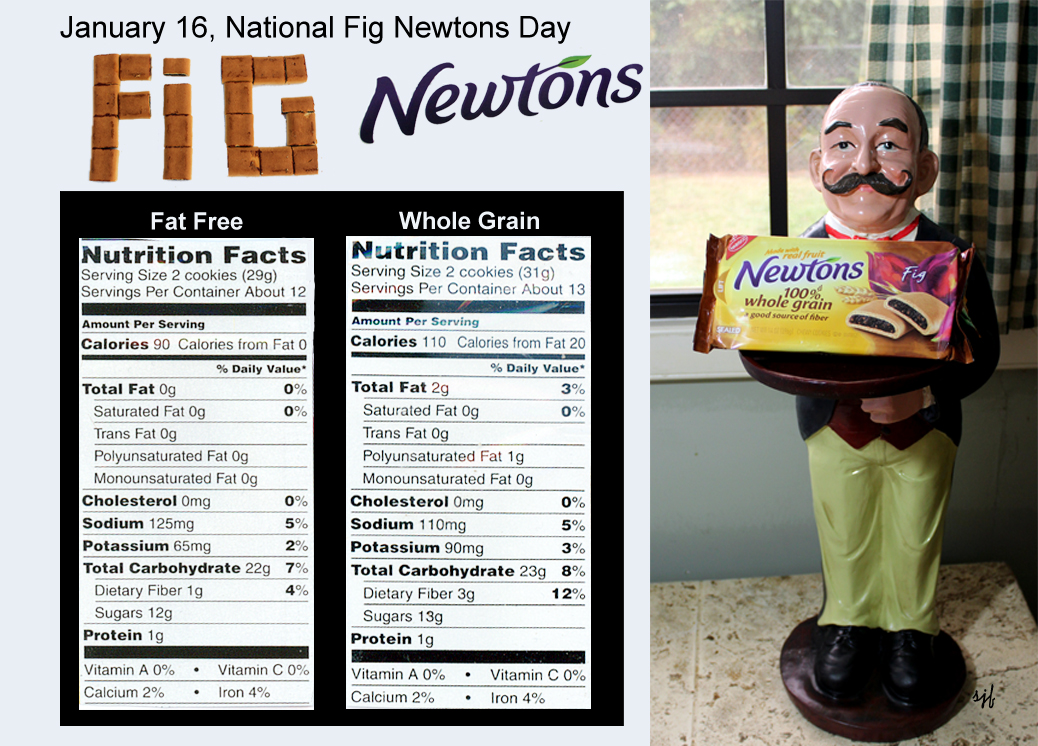 Fig Newton