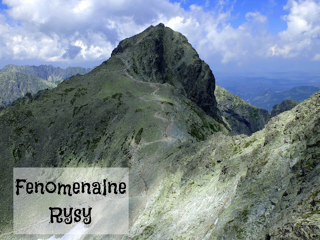 http://www.rudazwyboru.pl/2014/07/fenomenalne-rysy.html