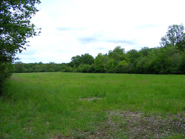 Prairie/bocage on the Chateau de la Gendronniere estate, Loir et Cher, France. Photo by Loire Valley Time Travel.