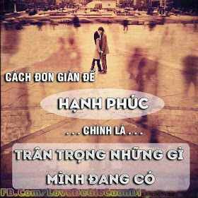  Giay dan tuong 