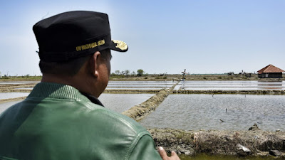 Dikembalikan penerima, produksi Garam Cirebon hampir 30 persen diriject karena kemasan bocor