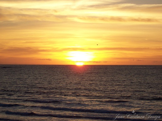 Sunset_Pacific