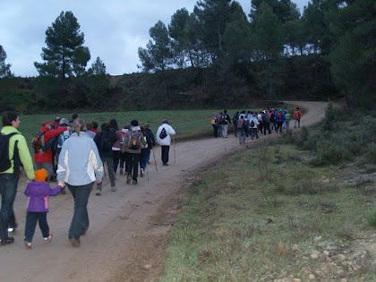 Caminant entre camps i bosc