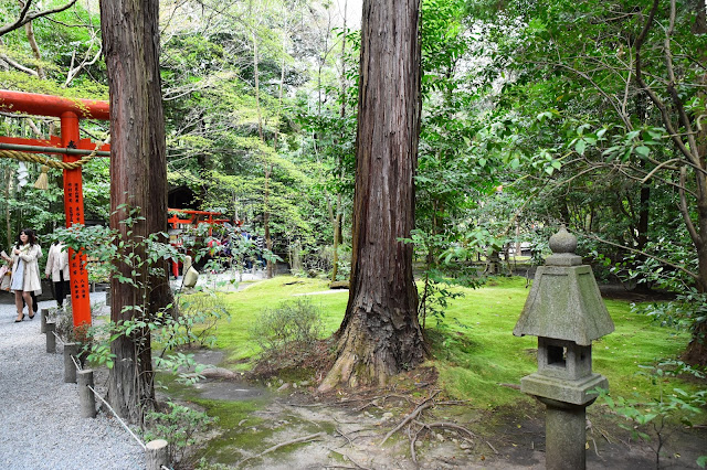 日本關西京都嵐山櫻花 竹林 野宮神社