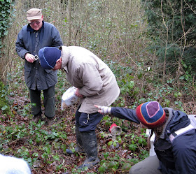 Opening a humane small mammal trap in Jubilee Country Park