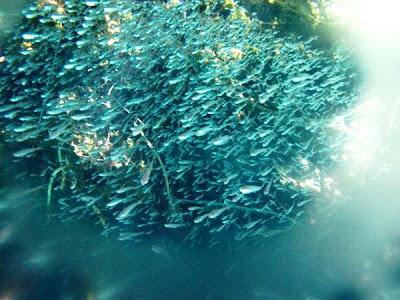 Danau Labuan Cermin