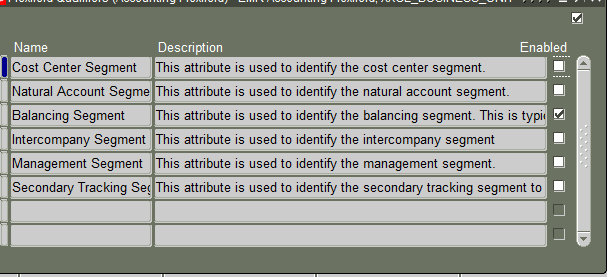 Oracle Chart of Accounts Setup