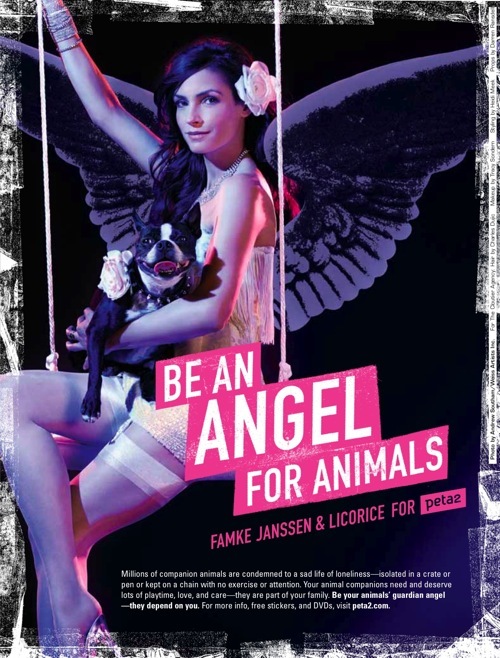 peta (13)