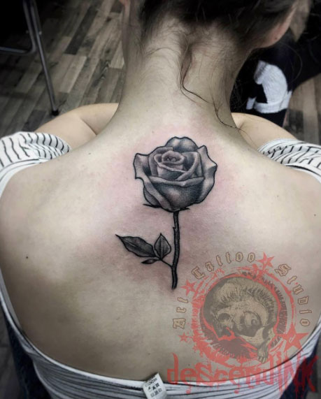 Este belo preto e cinza tinta rosa tatuagem