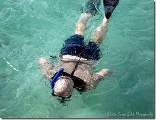 Aruba_1584