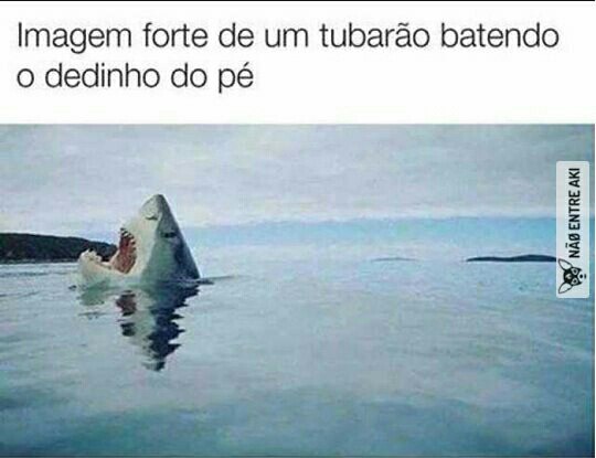 memes engraçados