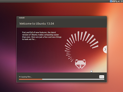 installing Ubuntu 13.04 _13